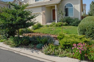 Xeriscape in Phases